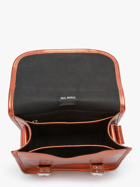 Small Leather La Sacoche Ginger Crossbody Bag Paul marius Brown ginger SACOSGIN other view 3