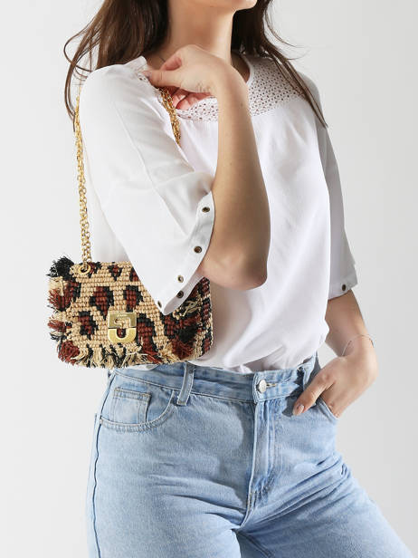 Shoulder Bag Raphia Gerard darel Beige raphia DBS87468 other view 1