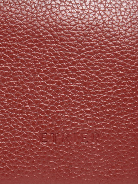 Housse Ordinateur Flandres Pc 15'' Cuir Etrier Rouge flandres EFLA8835 vue secondaire 3