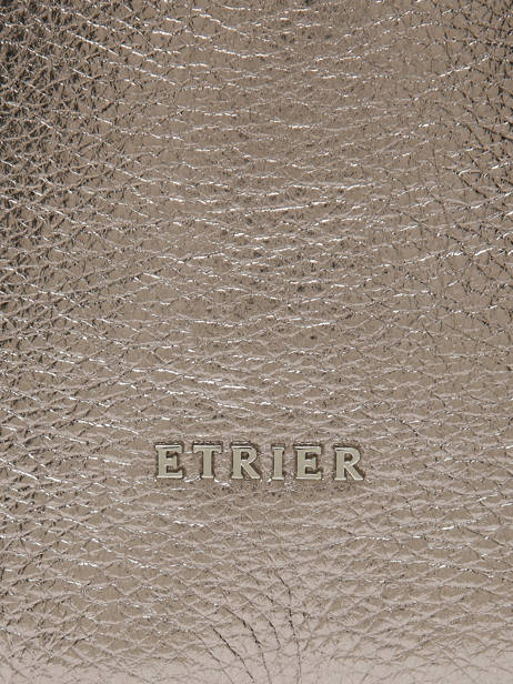 Shoulder Bag Jolly Leather Etrier Brown jolly EJOL147S other view 7